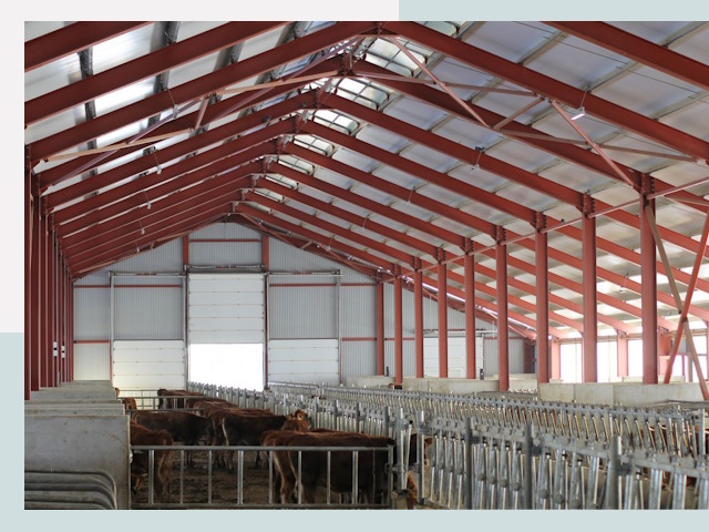 Строительство коровников в Ангарске