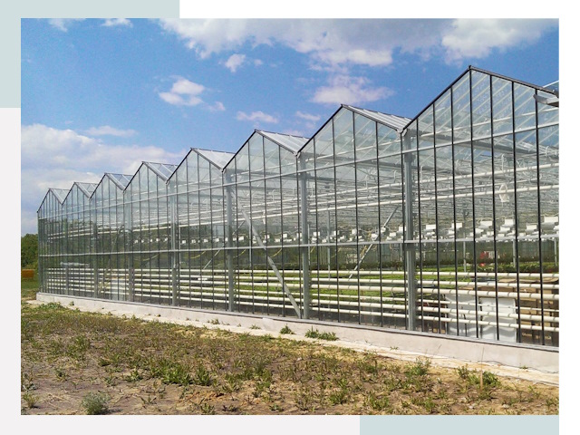 Строительство теплиц в Ангарск от 616 руб. за м²