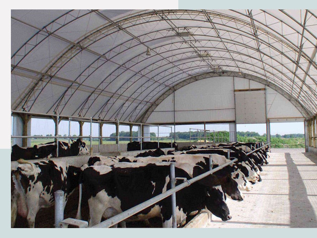 Тентовые коровники в Ангарске